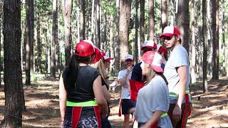 Team building en Bosque y Playa