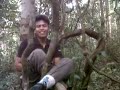 Narsis images Narsis