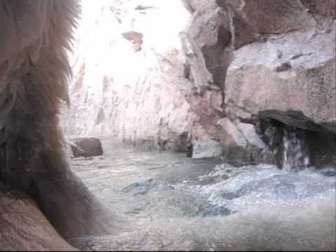 ナナに見つかる（八木山動物園のナナ）