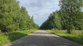 Russia. Along The Road, I Pass Through A Russian Forest.