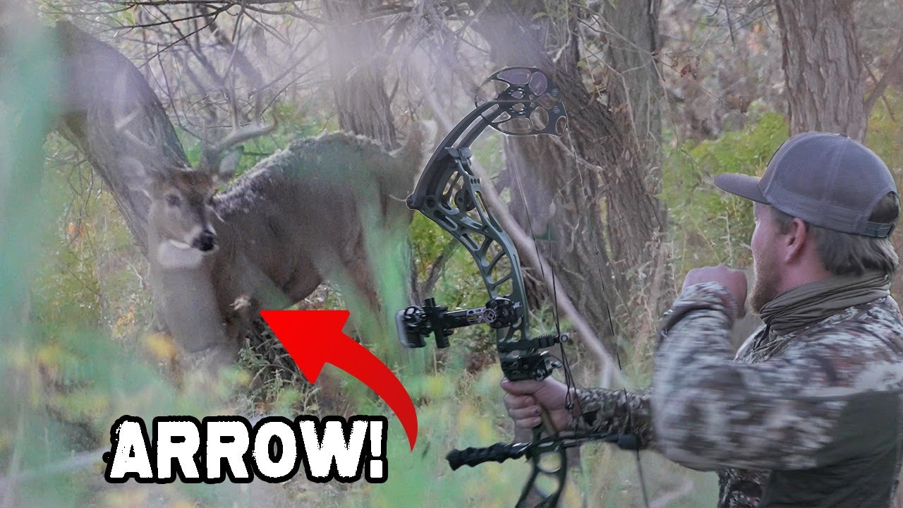 SZN | Hunting, Public Land Adventure, Travel...
