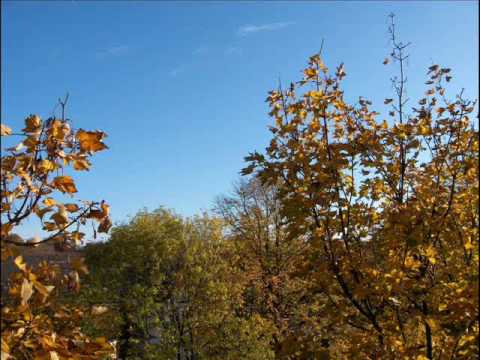 September In The Rain Sung In Bingdino Crooning Style By Me