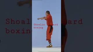 Shaolin Leopard Boxing