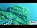 pescasub : Video in Sardegna estate 2011 - Claudio Basili