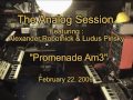 The Analog Session - Promenade Am3