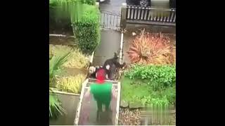 Subscribe For More Funny Video