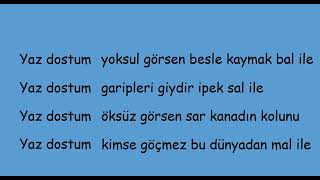 Barış Manço -Yaz Dostum Karaoke