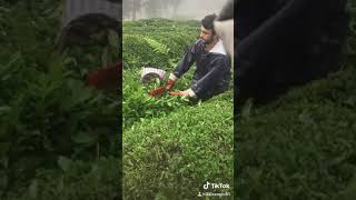 Huzur Veren Video