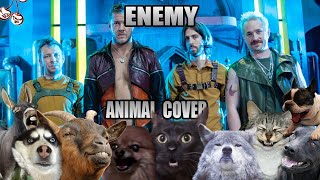 Imagine Dragons & J.I.D - Enemy (Animal Cover)