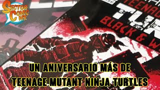 Aniversario De Las Teenage Mutant Ninja Turtles