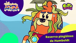 Reserva pingüinos de Humboldt - Las perriaventuras de Mica