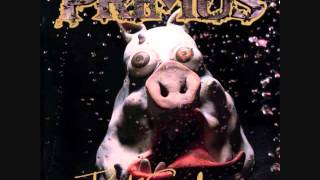 Watch Primus Pork Soda video