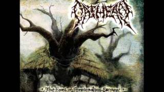 Watch Oathean The Eyes Of Tremendous Sorrow video