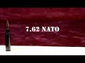 .338 lapua rifles