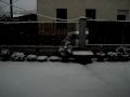 NEVICATA A LA MADDALENA 11/02/2012 PARTE 3