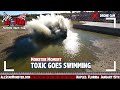 Monster Moment: Toxic Goes Swimming
