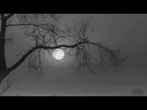Janewale Tera Khuda Hafiz Lata Mangeshkar Film Palki Music Naushad...