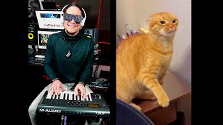 The Whining Cat's Melody - Música do gato reclamão