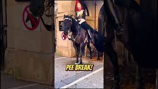 Pee Break
