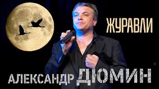 Александр Дюмин - Журавли