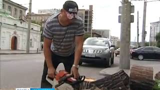 Видео На улице Сурикова на проезжую часть рухнуло дерево от ВЕСТИ. КРАСНОЯРСК, улица Сурикова, Красноярск, Россия