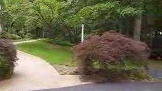 9011 Frontyard 2