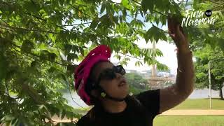 Roasted Putrajaya Ride