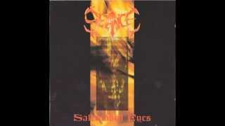 Watch Seance Saltrubbed Eyes video