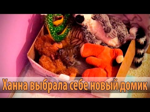 Как связать пятку на носках для детей Как нарисовать мяч карандашом поэтапно
