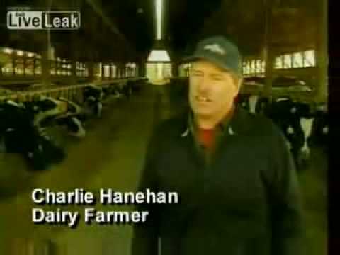 Cow Methane Backpack