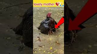 Maa , Tere Doodh Ka Haq Humse Ada Kiya ------- Hoga