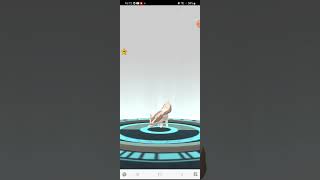 Pokemon Zigzagoon Evolves Into Linoone