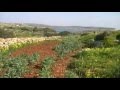 Cirkewwa - Mellieha