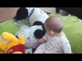 Baby Rose Pets Jack the Dog