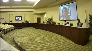 November 24, 2020 Ripon City Planning Commission Meeting