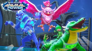 Pj Masks Here Come The Pj Riders Compilation Kids Cartoon Superheroes Kids Video