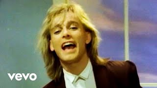 Watch Cheap Trick If You Want My Love video
