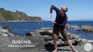 QiGong Organ Cleaning