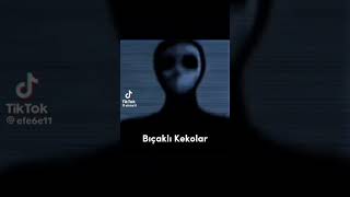 Dans Eden Kadın Türkiyeye Gelmiştir