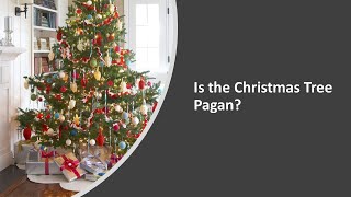 Video: Is the Christmas Tree Pagan? - Tony Costa
