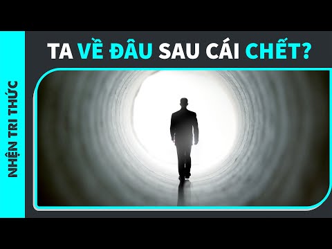 SAU CÁI CHẾT, chúng ta đi đâu? | SPIDERUM | Mystic Cat Lady | Kiến thức cuộc sống