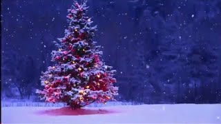12 Hour Beautiful Christmas Lullaby • Soft Instrumental Christmas Music • Music 
