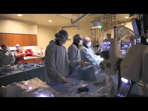Texas Medical Center - Houston Medical Center - NRG Park - Houston Neighborhoods ... Texas Medical Center - Houston Medical Center - NRG Park - Houston Neighborhoods ... - Houston is home to the largest concentration of researchers, physicians and medical professionals in the world. The world-renowned Texas Medical Center's  ...