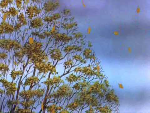 Boards of Canada - Twoism. 6:01. For more videos and playlists like this one Boards of Canada - Twoism. 6:01. For more videos and playlists like this one