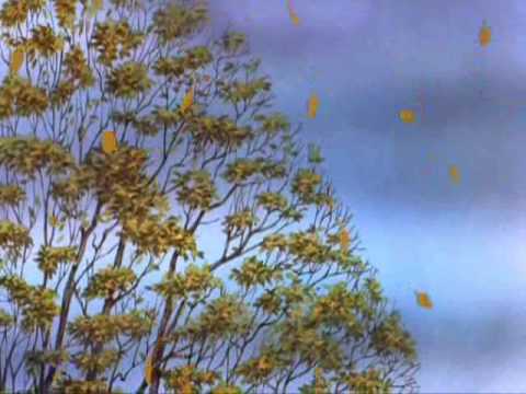 Boards of Canada - Twoism. 6:01. For more videos and playlists like this one 