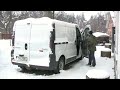 Anglický pointer - 6 měsíců