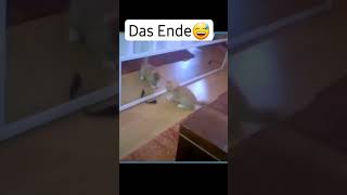 Das Ende Ist Zu Lustig