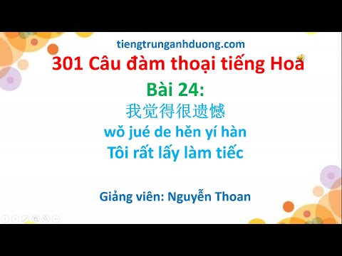Giáo trình 301 câu đàm thoại tiếng Hoa (bài 24): Tôi rất lấy làm tiếc 我觉得很遗憾