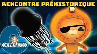Octonauts - Rencontre Préhistorique Compilation Dessins Animés Pour Enfants