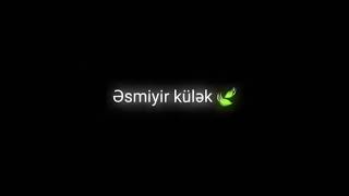 Whatsapp Ucun Maraqli, Menali Statuslar, Status Ucun Videolar, Sevgi Statuslari 2021